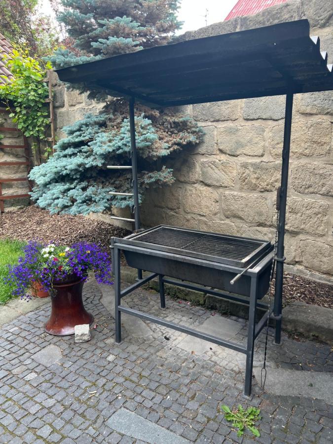 Apartmany U Vodniho Hradu Česká Lípa Exterior foto